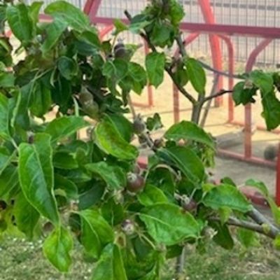 Picture2