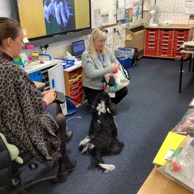 Y5 - LITERACY INSPIRATION