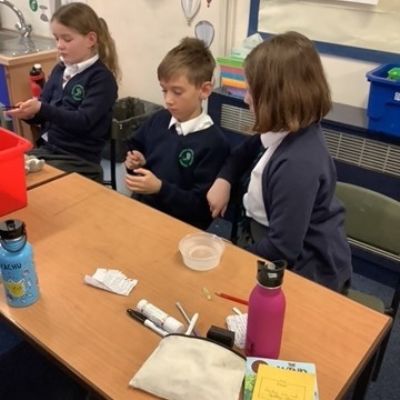 Y4 - Science
